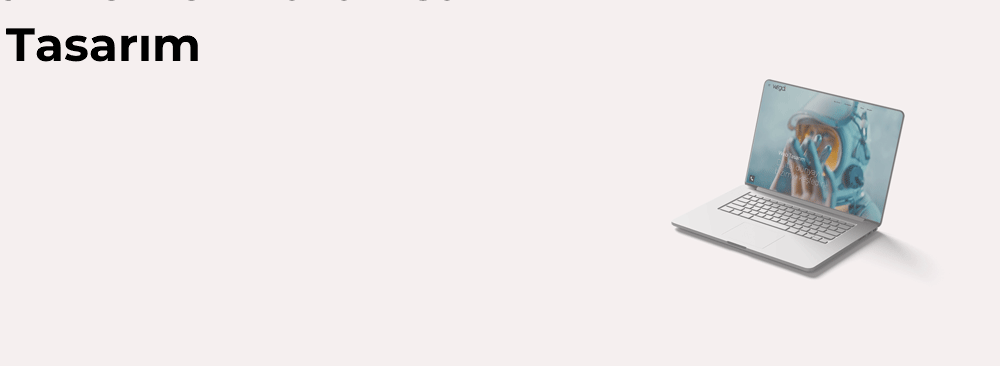 Bingöl Merkez Kurumsal Web Tasarım