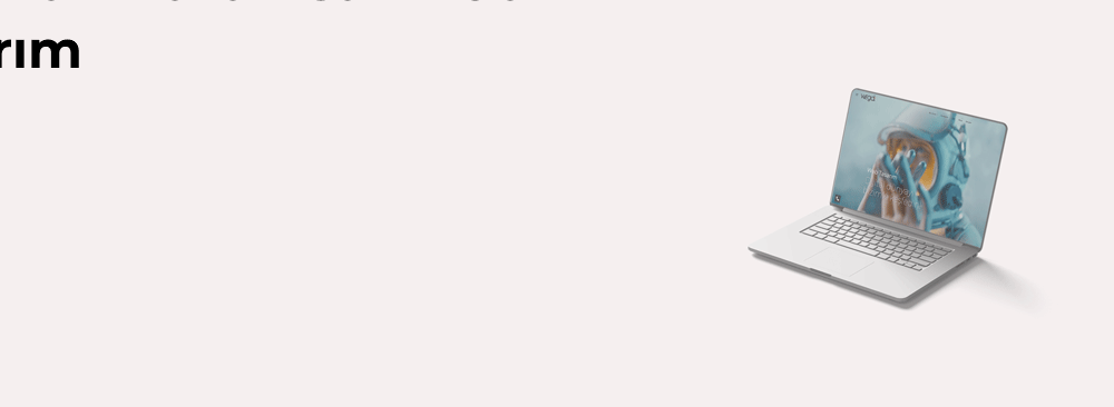Susurluk Kurumsal Web Tasarım